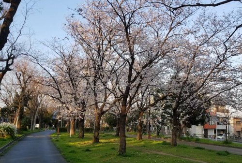 公園　新淀川公園（公園）まで428m