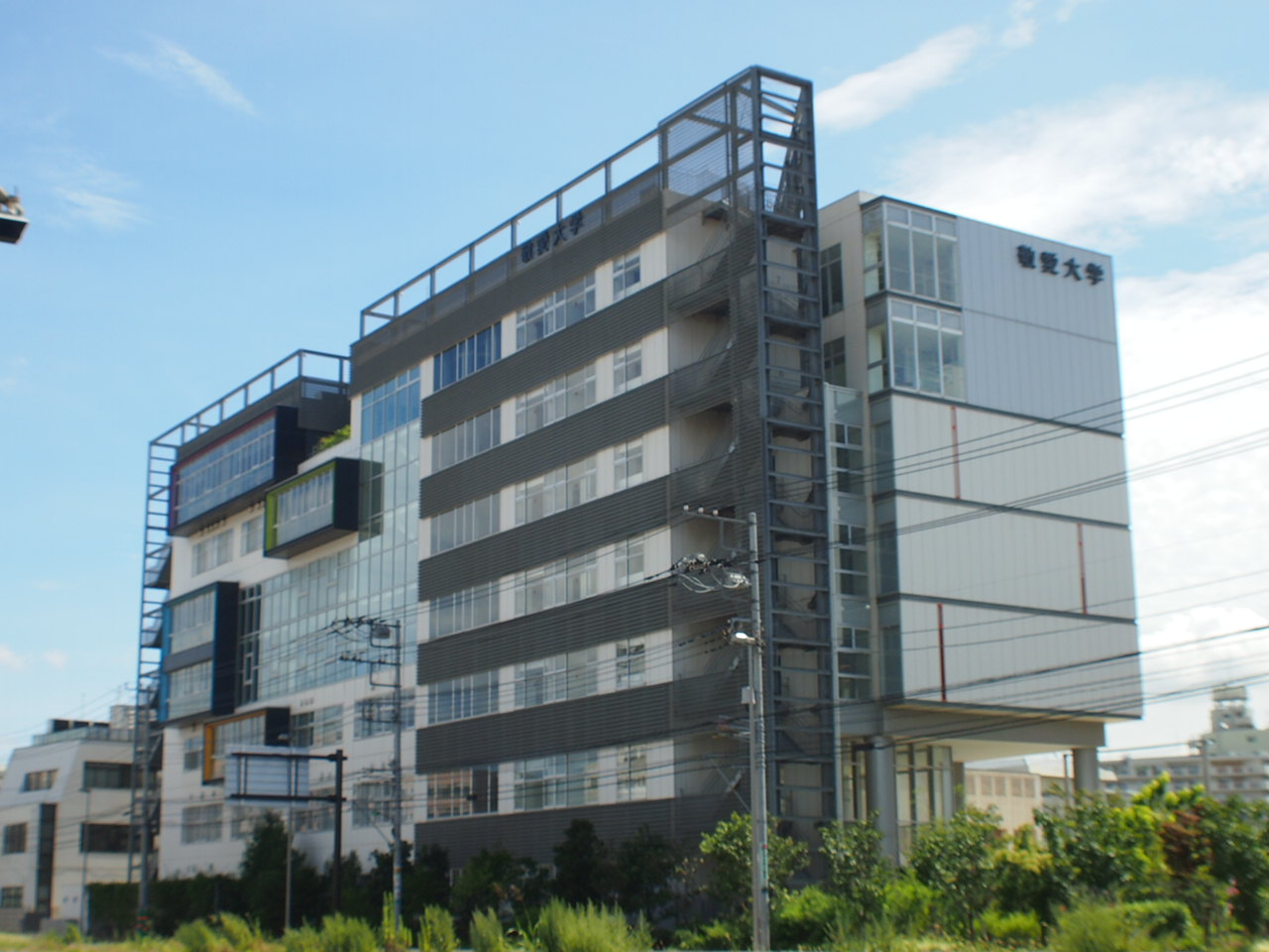 大学・短大　敬愛大学（大学・短大）まで347m