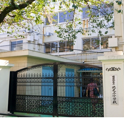 小学校　世田谷区立池之上小学校（小学校）まで306m