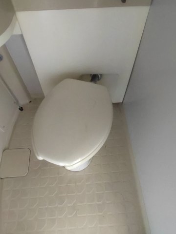 トイレ　トイレも気になるポイント