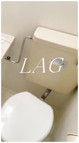 トイレ　トイレです。