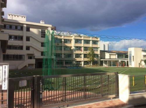 小学校　板橋第四小学校（小学校）まで518m