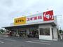 ドラックストア　スギ薬局 蓮田山ノ内店（ドラッグストア）まで540m
