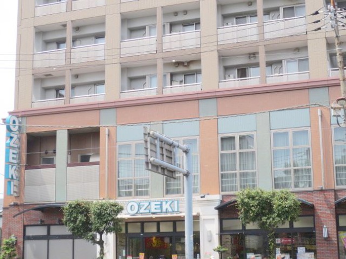 スーパー　スーパーオオゼキ野沢店（スーパー）まで702m