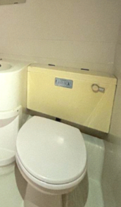 トイレ　トイレです