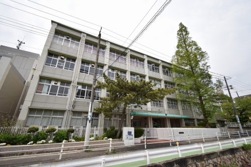 エル・セレーノ石屋川の周辺写真