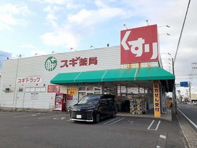 ドラックストア　スギ薬局市場店（ドラッグストア）まで230m