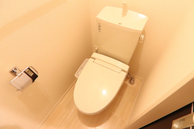 トイレ　※他号室の参考写真です
