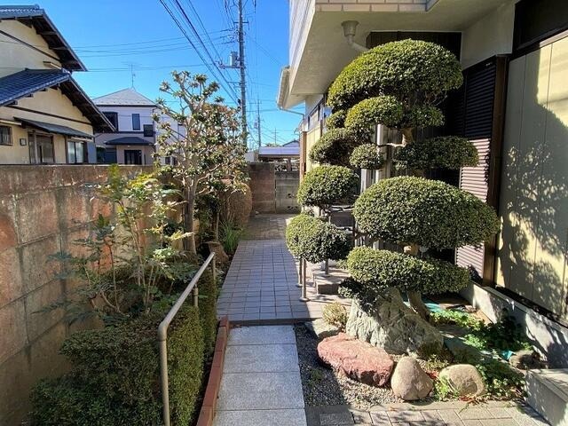 庭
