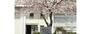 中学校　姫路市立花田中学校（中学校）まで1300m