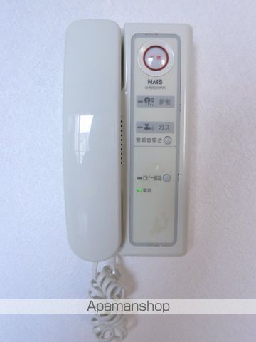 アミリスのその他写真