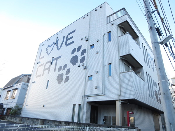 LOVE CAT
