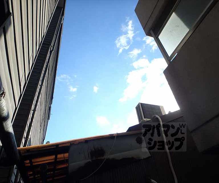 ルネッサンス・アンのその他写真