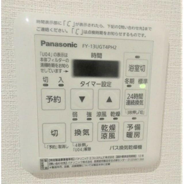 モンステラのその他写真