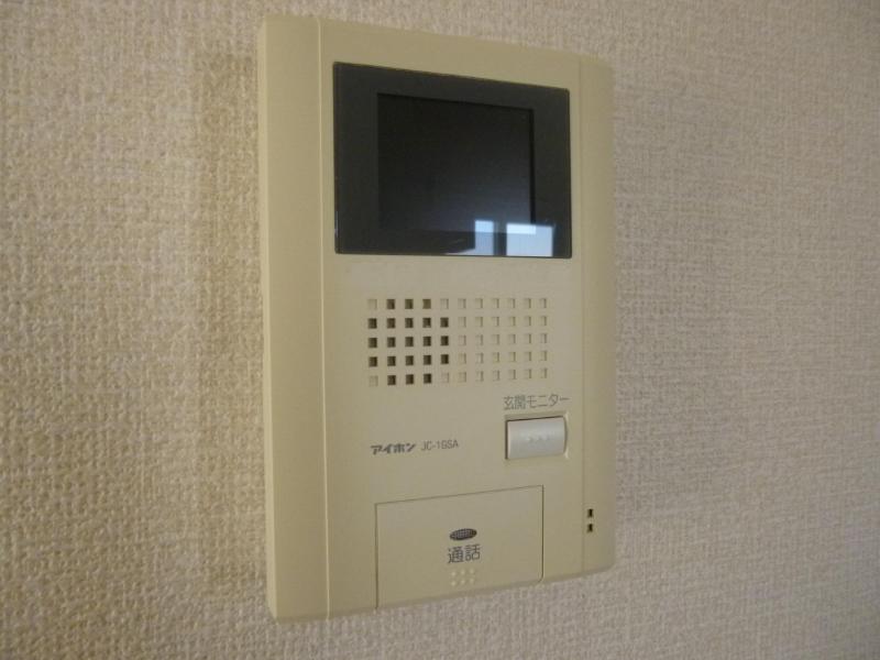 エバーグリーンのその他写真