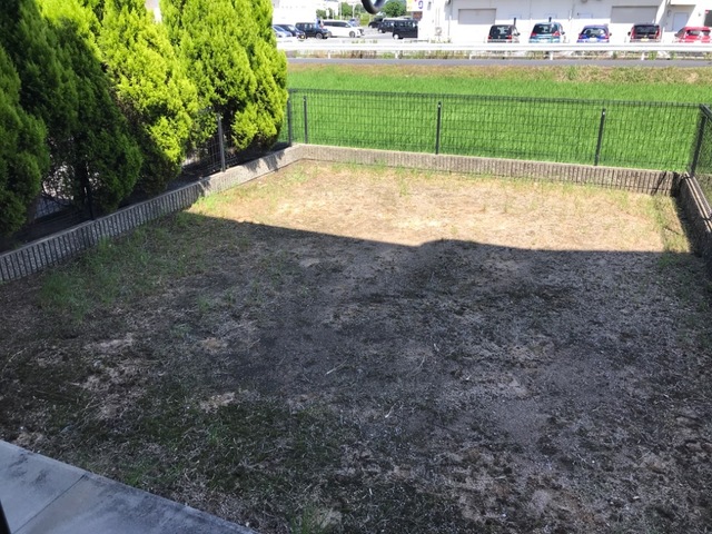 庭