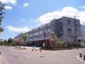 小学校　札幌市立平岡公園小学校（小学校）まで1567m