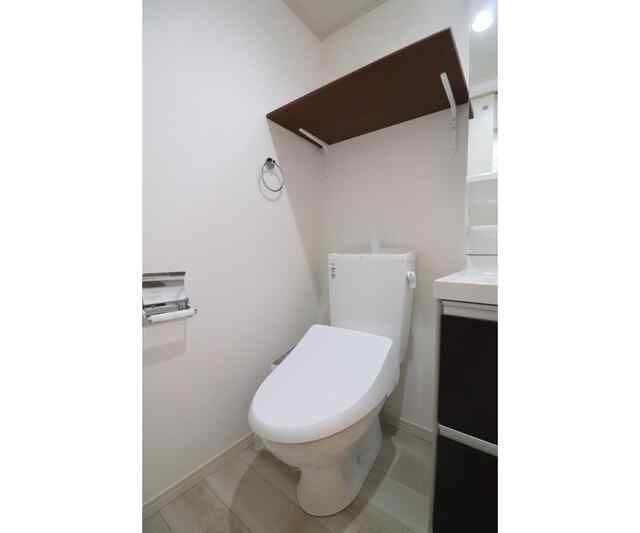ルミエール大口のトイレ写真