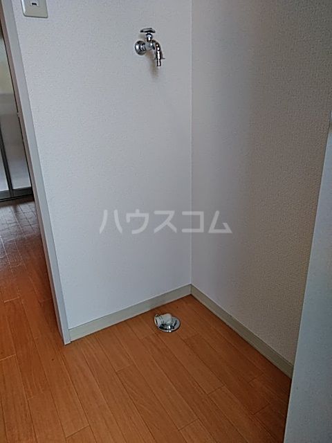 グリーンバレーオオクラのその他写真
