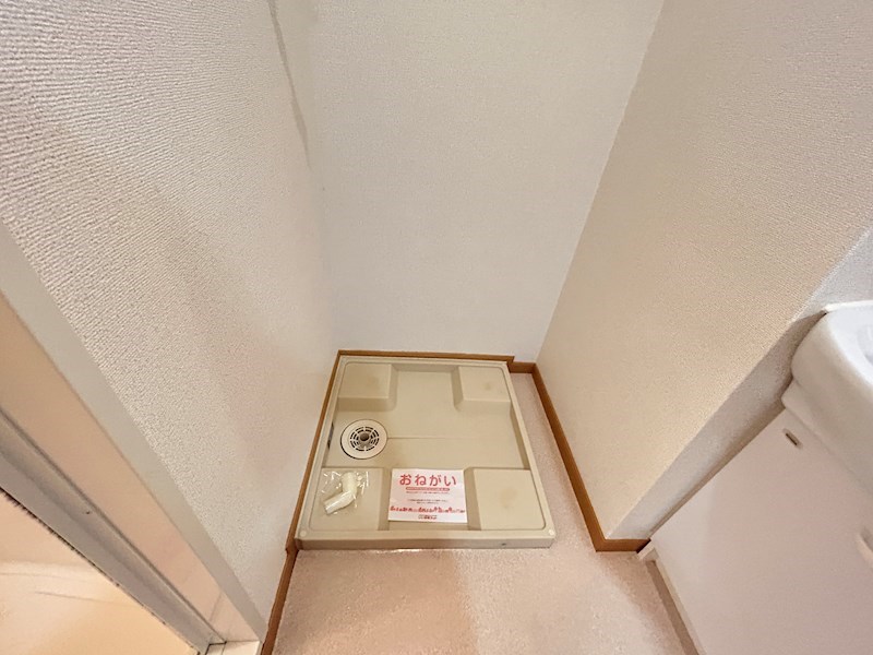 カサ・デローザのその他写真