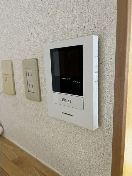 フレスカイトウのその他写真