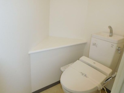 シグマ西麻布IIのトイレ写真