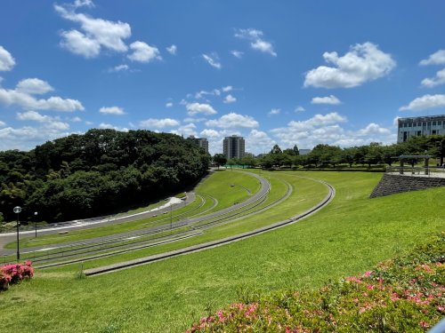 公園　若葉台公園（公園）まで976m