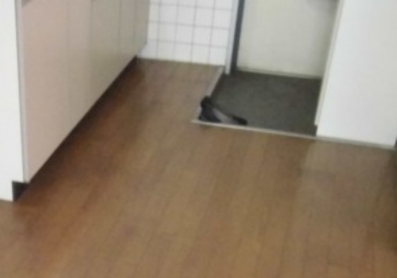 玄関　他号室のお写真です