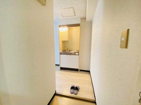 玄関　※別部屋の写真です
