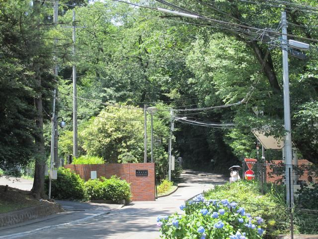 【メゾン・ド・鳥居の大学・短大】