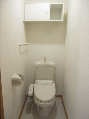 トイレ　同一物件別部屋の写真になります。