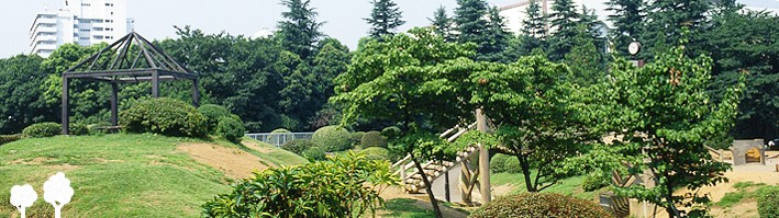 【新宿区高田馬場のマンションの公園】