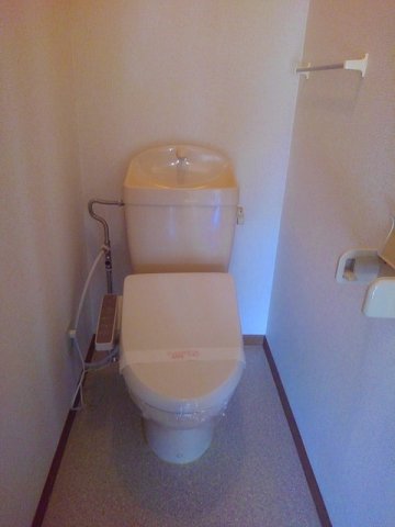 トイレ　トイレも気になるポイント