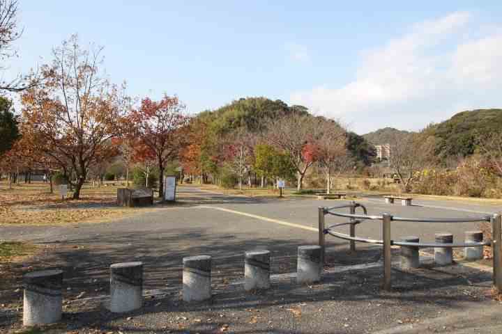 公園　高知県立池公園（公園）まで709m