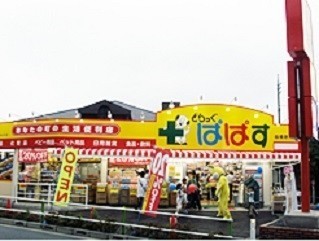 ドラックストア　どらっぐぱぱす板橋徳丸店（ドラッグストア）まで877m