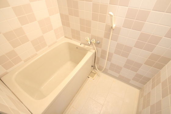 バス・シャワールーム　※別号室の写真です。