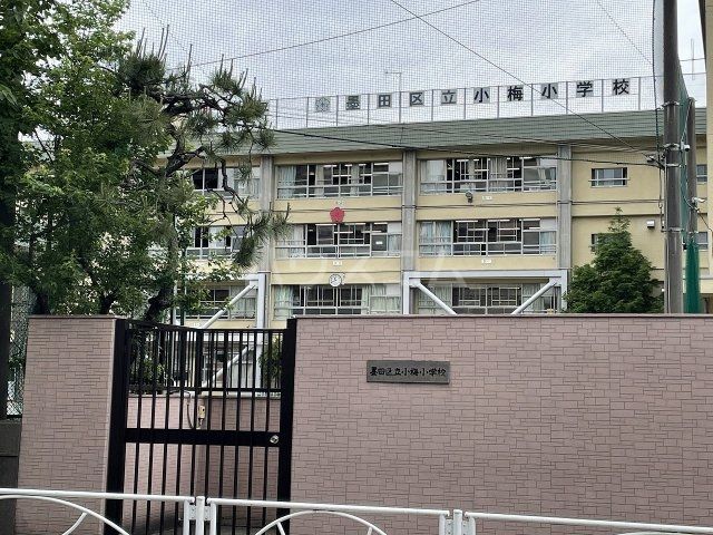 小学校　小梅小学校（小学校）まで200m