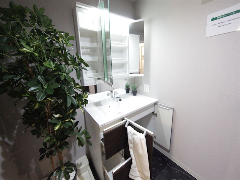 洗面設備　脱衣所　独立洗面台（シャンプードレッサー付）収納スペース有