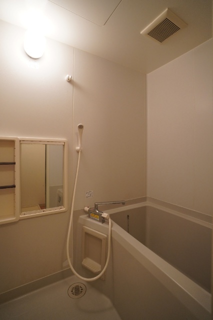 バス・シャワールーム　同じ建物の別なお部屋