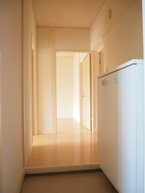 玄関　ゆったりとした玄関です※別号室の写真です