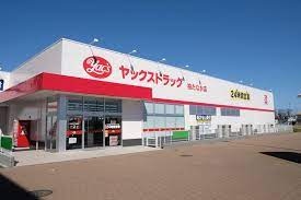 ドラックストア　ヤックス柏たなか薬局（ドラッグストア）まで824m