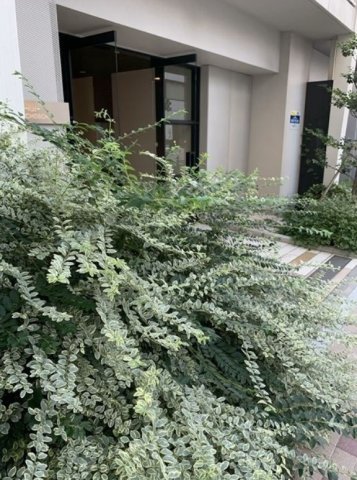 エントランス　建物の内部です