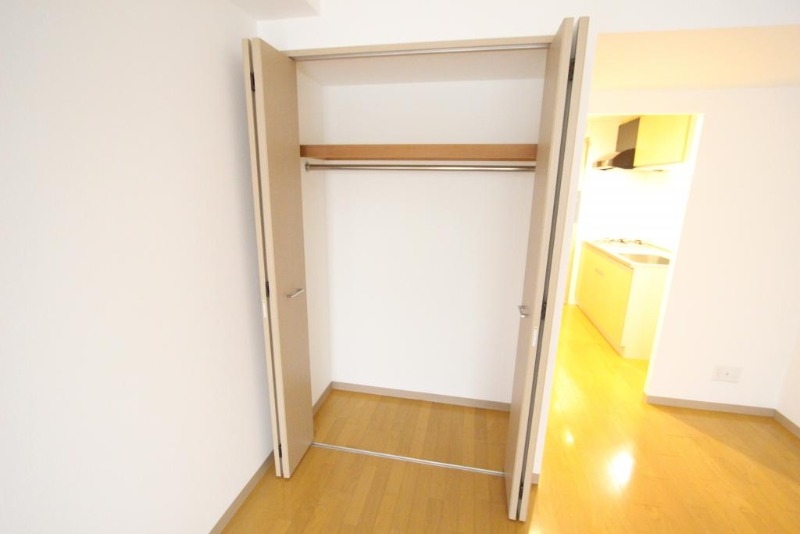 収納　見てこの大きなクローゼット