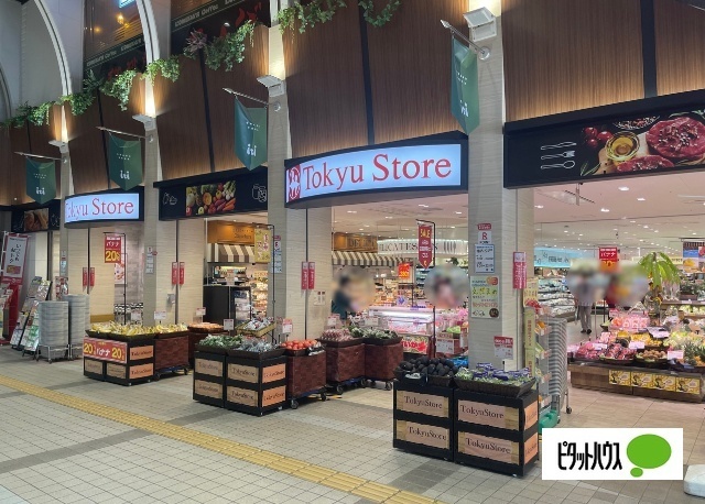 スーパー　東急ストアセンター北駅前店（スーパー）まで334m
