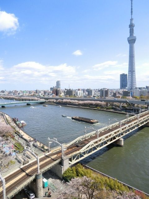 公園　隅田公園（公園）まで550m