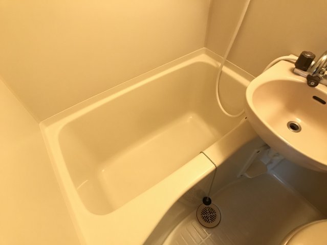 バス・シャワールーム　※別号室の写真です。