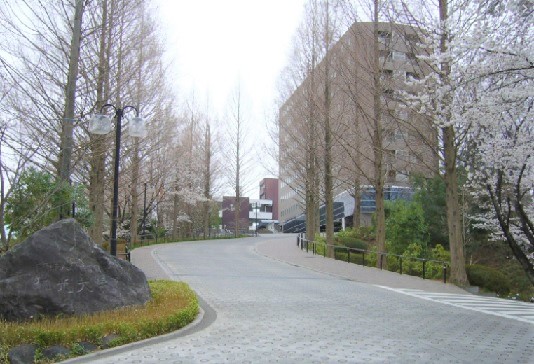 大学・短大　私立和光大学（大学・短大）まで1662m