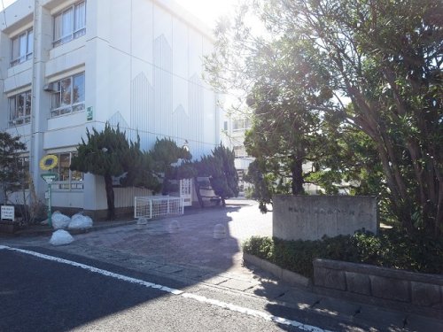 小学校　阿南市立見能林小学校（小学校）まで499m