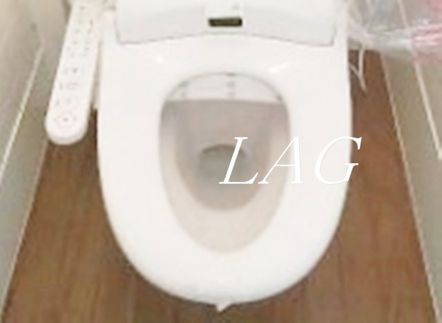 トイレ　トイレです。