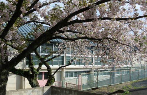 小学校　八王子市立横山第二小学校（小学校）まで406m